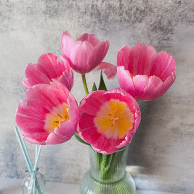 instagram-Photo/撮影/PhotShop編集