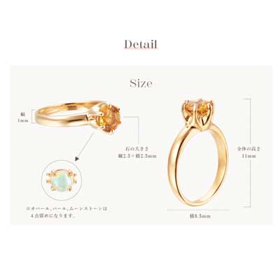 Detail画像作成/TSUTSUMI